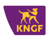 UitgelichteAfbeelding-KNGF